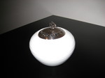 2010 9 大久保譲治 オオクボスミエ展 016.jpg
