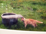 2011 6 青地大輔写真展 009.jpg