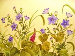 2011 8 中島清隆 野の花風景スケッチ展 015.jpg