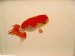 2011 9 白桃会 024.jpg